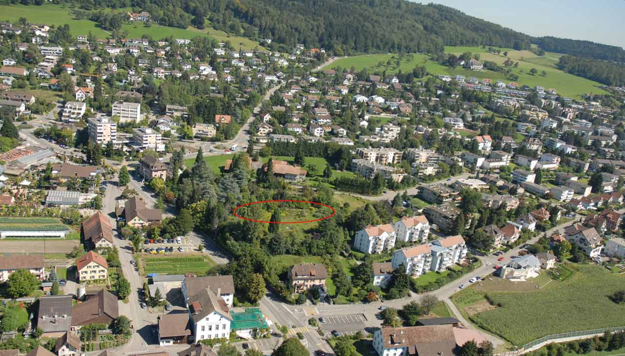 Dahlienpark, die ruhige Oase an zentraler Lage, im Hingergrund die Wälder des Gubrist