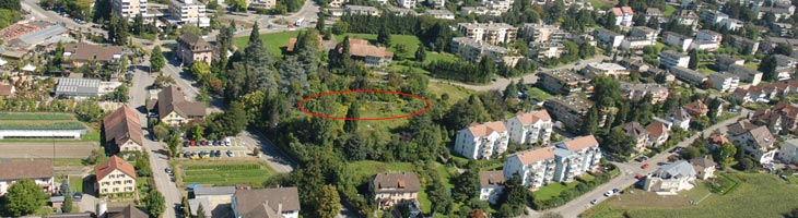 Dahlienpark, die ruhige Oase an zentraler Lage, im Hingergrund die W&auml;lder des Gubrist